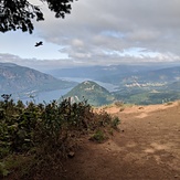 Bird enjoys the wind, Dog Mountain