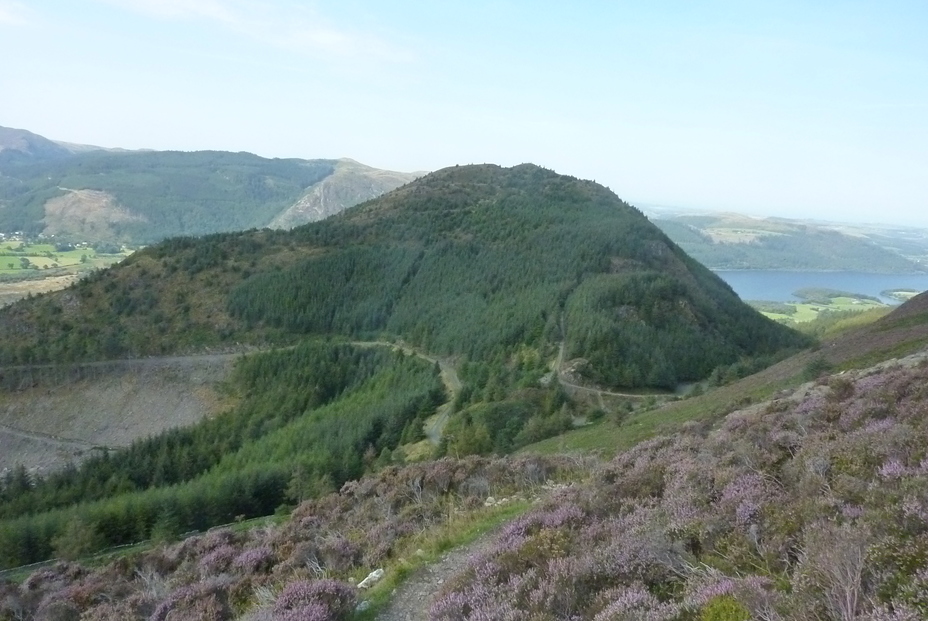 Dodd from Carl Side, Dodd (Lake District)