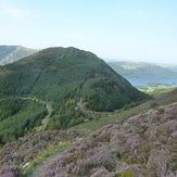 Dodd from Carl Side, Dodd (Lake District)