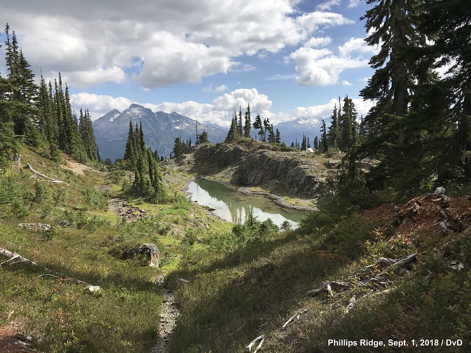 Mount Myra from Phillips Ridge