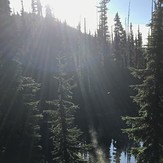 Arnica Lake, Phillips Ridge Trail