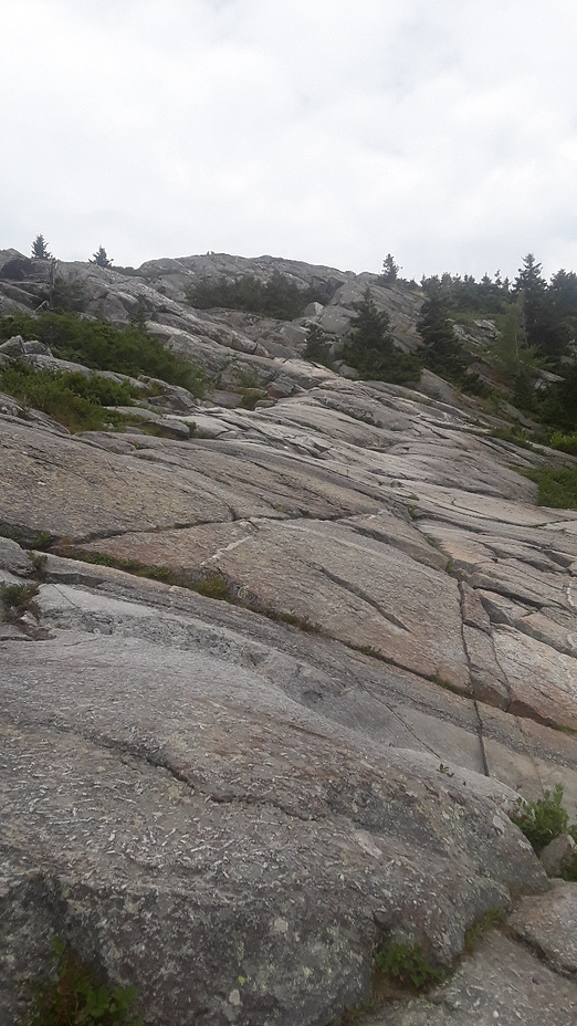 Mt Monadnock - white cross trail, Mount Monadnock