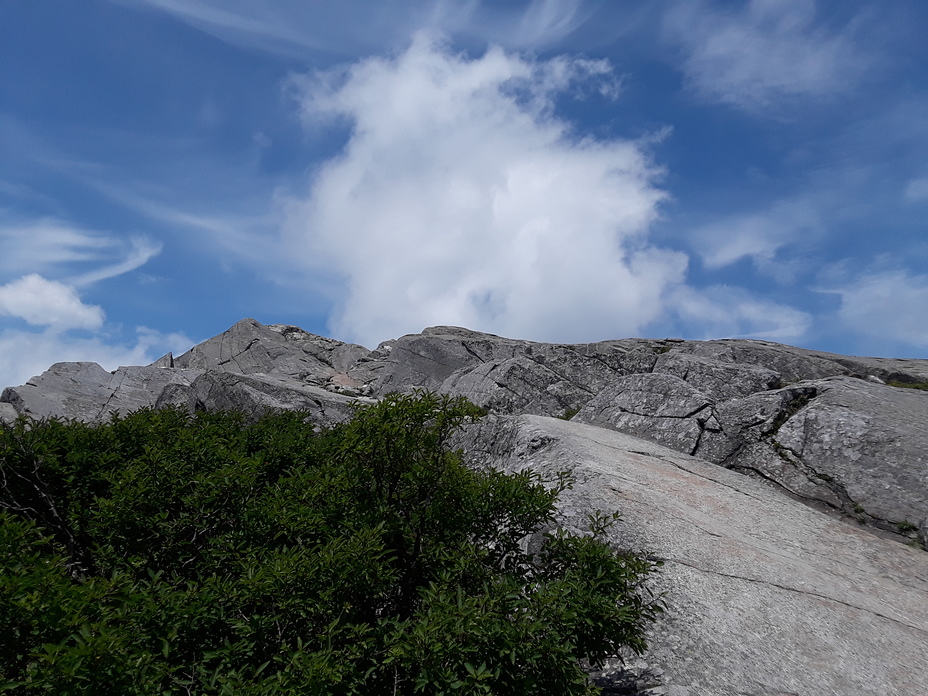 view of Mt Monadnock summit from white cross trail, Mount Monadnock