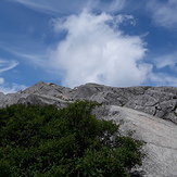 view of Mt Monadnock summit from white cross trail, Mount Monadnock