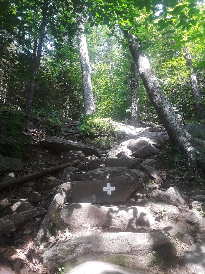 White Cross trail, Mt Monadnock, Mount Monadnock