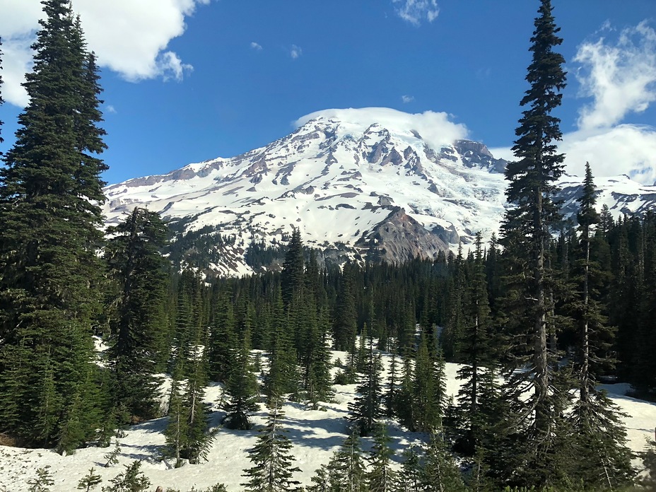 Mt Rainier in June, Mount Rainier