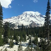 Mt Rainier in June, Mount Rainier