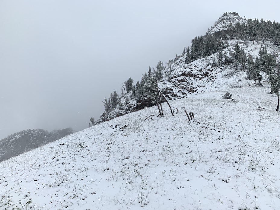 Albright Peak weather