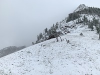 Albright Peak in September photo