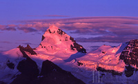 Mt. Forbes Alpenglow - Banff Nat'l Park, Mount Forbes photo