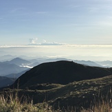 Mount Pulag