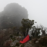 1st Arrow, Bluff Knoll