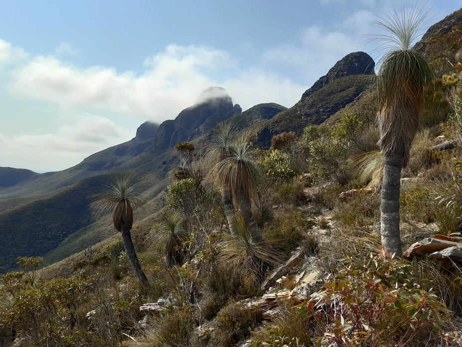 East Stirling Range, Bluff Knoll