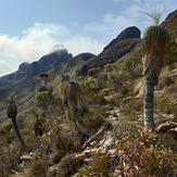 East Stirling Range, Bluff Knoll