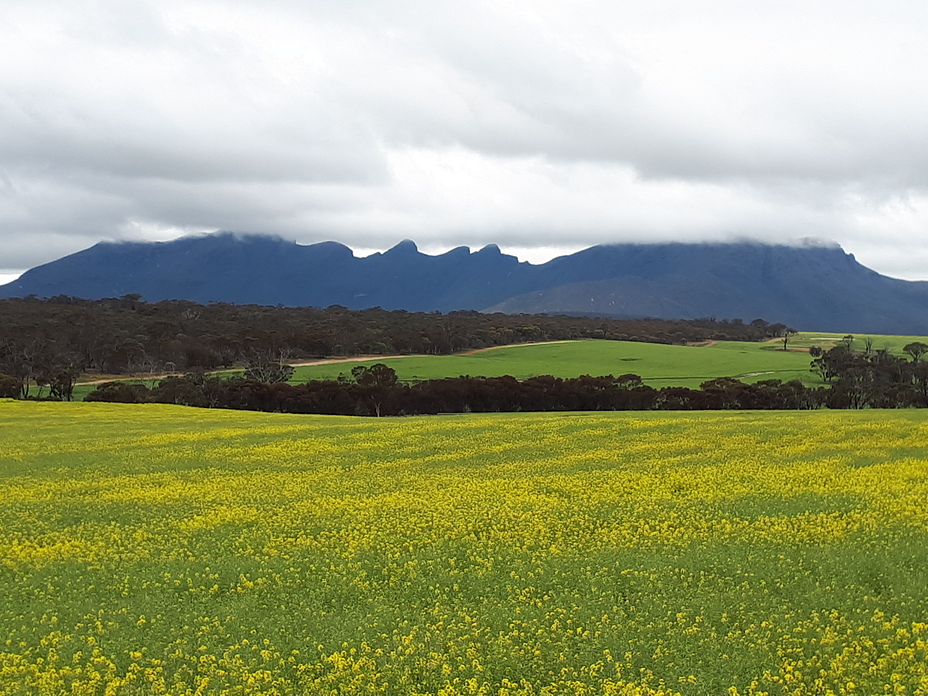 Stirling Range, Bluff Knoll