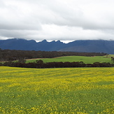 Stirling Range, Bluff Knoll