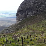 Ellen Peak, Bluff Knoll