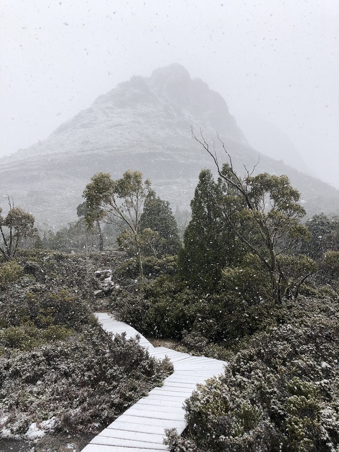 Cradle Mountain weather