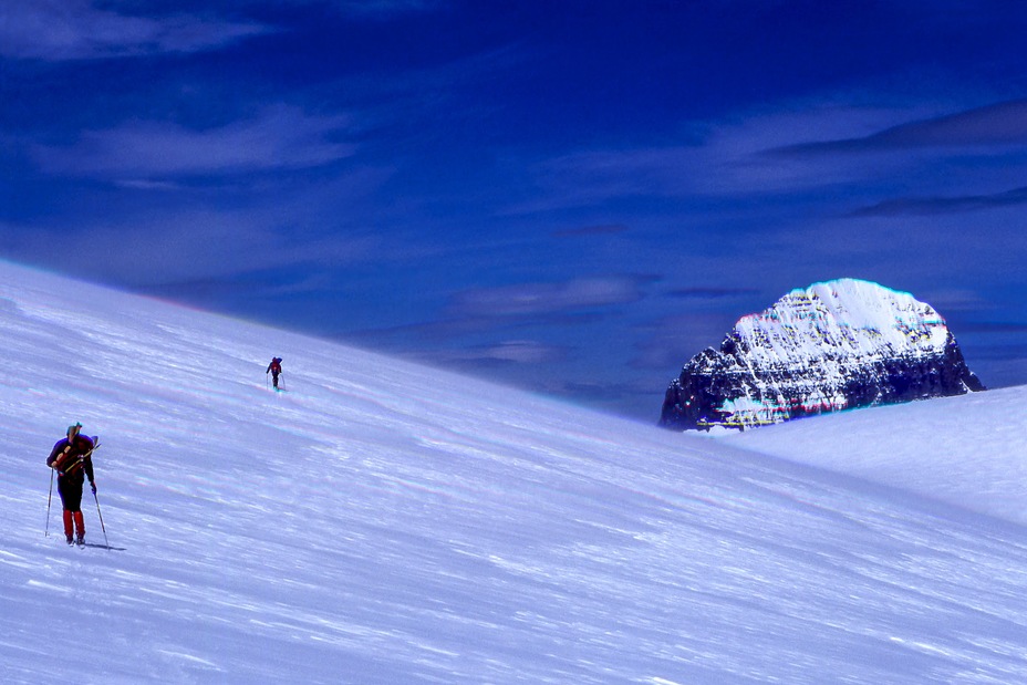 Mt. Alberta From the High Shoulder of the Columbia Icefield, Mount Woolley