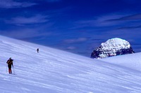 Mt. Alberta From the High Shoulder of the Columbia Icefield, Mount Woolley photo