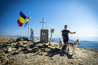 husky climbing, Parângu Mare photo