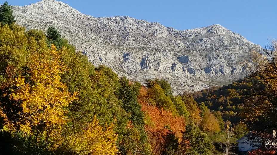 Penas Pintas