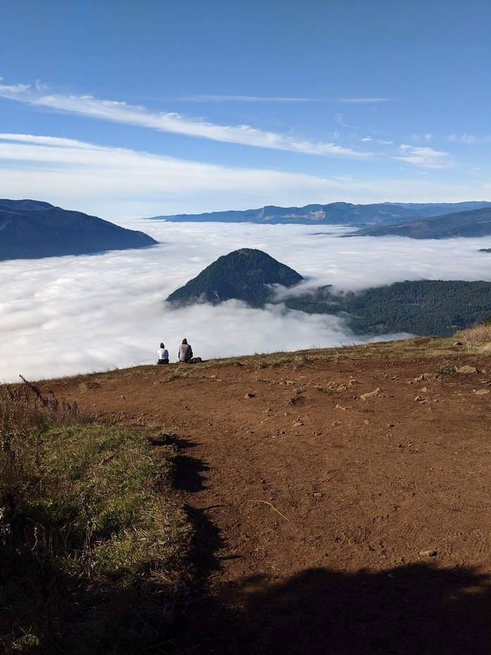 Life above the fog, Dog Mountain