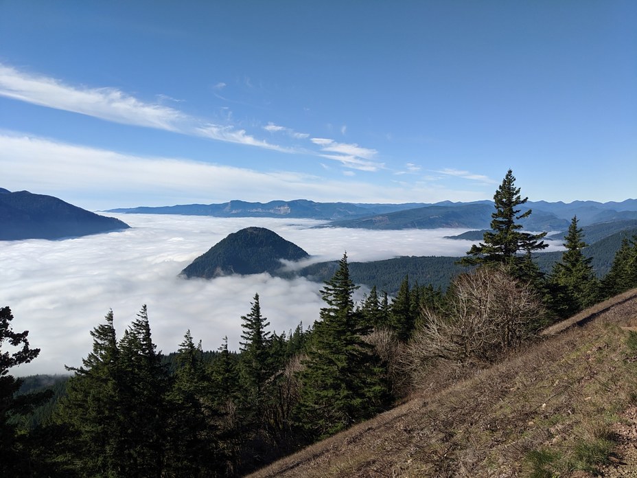 The foggy gorge, Dog Mountain