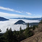 The foggy gorge, Dog Mountain