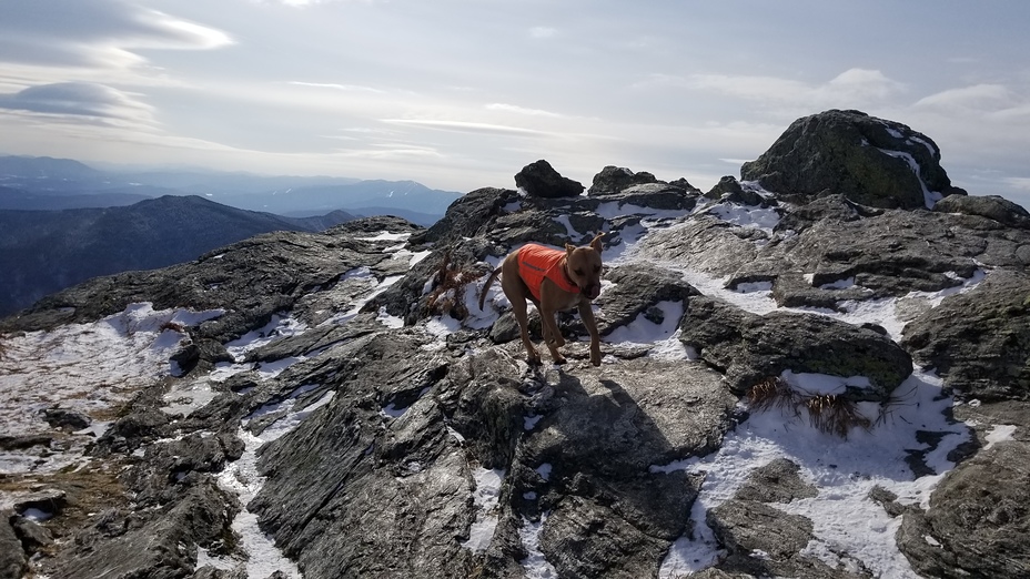 Camels Hump