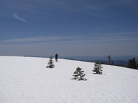 Snow Mountain East photo