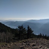 Standing on Puppy Summit, Dog Mountain