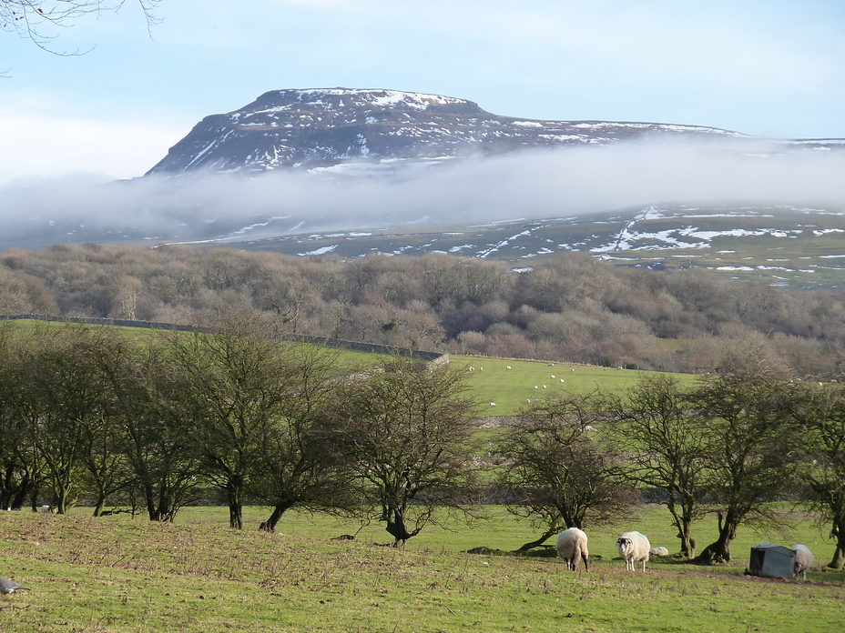 View from St Oswalds, Ingleborough