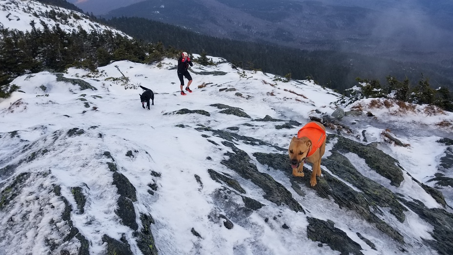 Ducati and Twig approaching the summit., Camels Hump