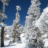 snow, Mount Baldy (San Gabriel Range)