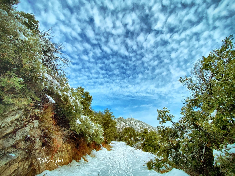 The Old Wilson Road, Mount Wilson (California)