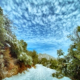 The Old Wilson Road, Mount Wilson (California)