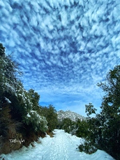 Mount Wilson (California) photo