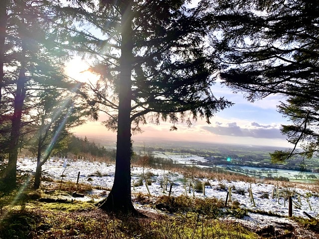 Beacon Fell Country Park weather