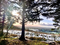 Beacon Fell Country Park photo