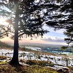 Beacon Fell Country Park