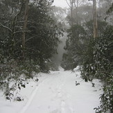 Link Trail, Barrington Tops