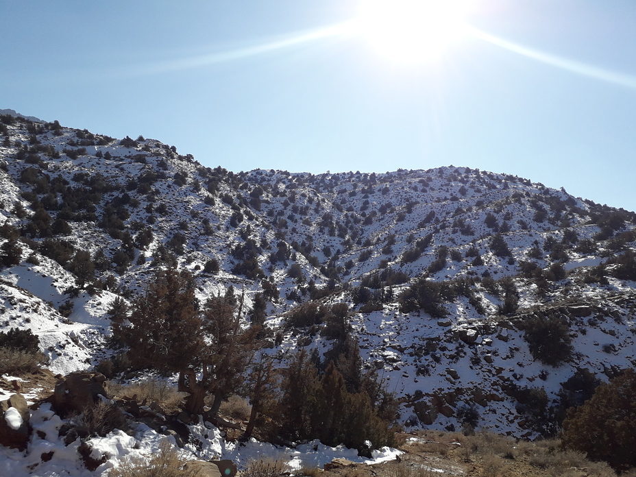 Zarghun Ghar weather