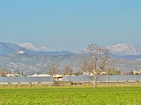 December snow on Taburnus photo