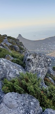 Lion's Head photo