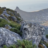 Lion's Head