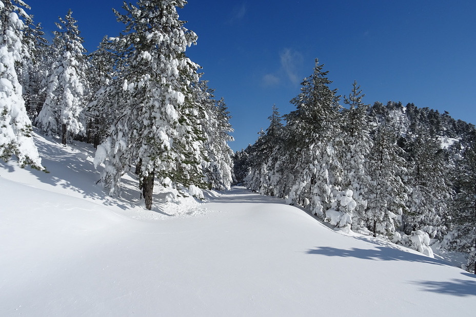 Going to the Flabouri Mountain Refuge, Parnitha