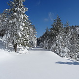 Going to the Flabouri Mountain Refuge, Parnitha