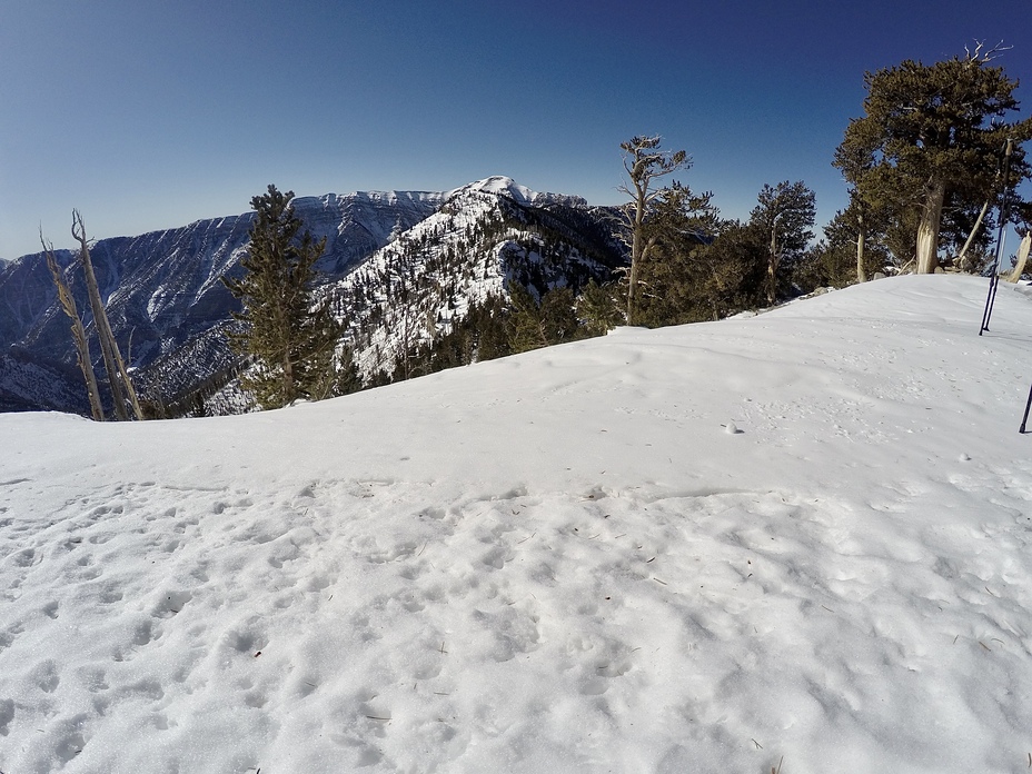 Mount Charleston