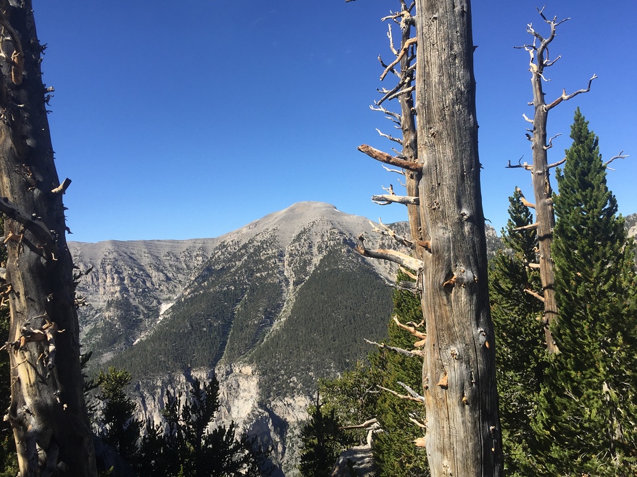 Mount Charleston